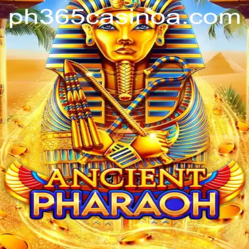 Experience the Mysteries of